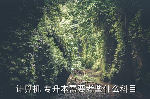  計(jì)算機(jī) 專(zhuān)升本需要考些什么科目