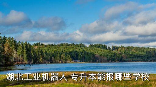湖北工業(yè)機(jī)器人 專升本能報(bào)哪些學(xué)校