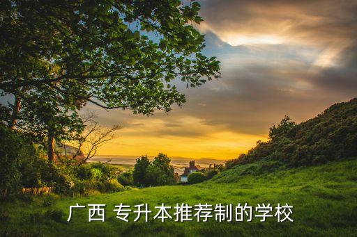  廣西 專升本推薦制的學校