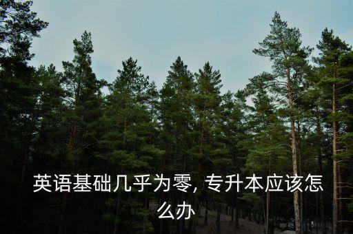  英語(yǔ)基礎(chǔ)幾乎為零, 專升本應(yīng)該怎么辦