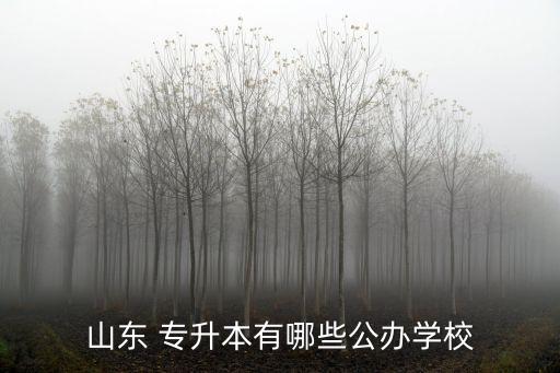 山東 專升本有哪些公辦學校