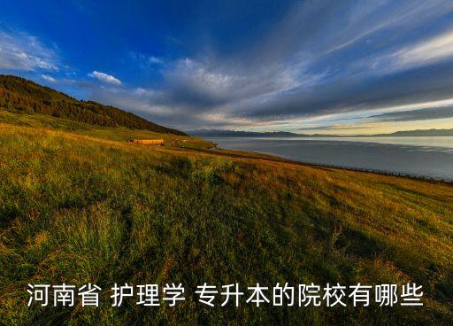 河南省 護理學 專升本的院校有哪些