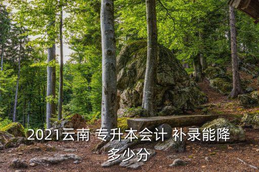 2021云南 專升本會計(jì) 補(bǔ)錄能降多少分