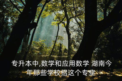  專升本中,數(shù)學(xué)和應(yīng)用數(shù)學(xué) 湖南今年那些學(xué)校招這個(gè)專業(yè)