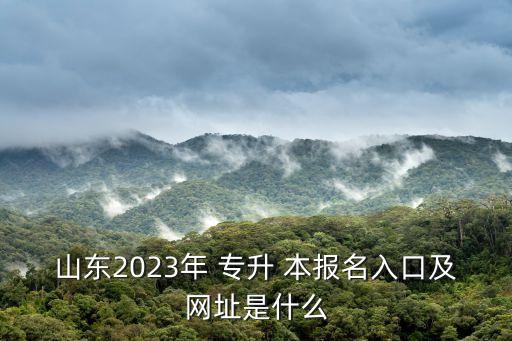山東2023年 專升 本報(bào)名入口及網(wǎng)址是什么