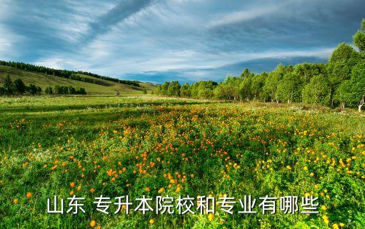 山東 專(zhuān)升本院校和專(zhuān)業(yè)有哪些