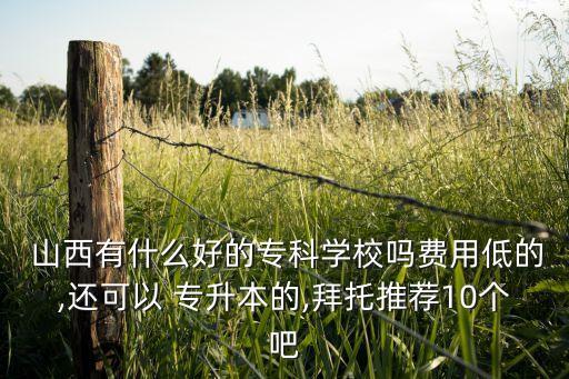  山西有什么好的?？茖W校嗎費用低的,還可以 專升本的,拜托推薦10個吧