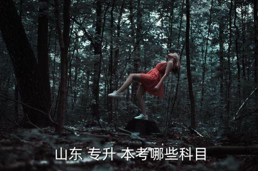  山東 專(zhuān)升 本考哪些科目