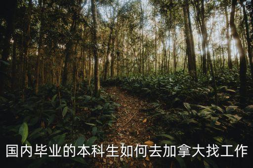 國(guó)內(nèi)畢業(yè)的本科生如何去加拿大找工作