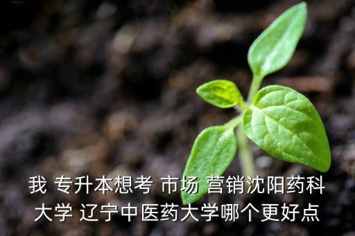 我 專升本想考 市場 營銷沈陽藥科大學(xué) 遼寧中醫(yī)藥大學(xué)哪個更好點(diǎn)
