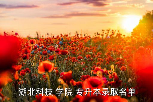  湖北科技 學(xué)院 專升本錄取名單