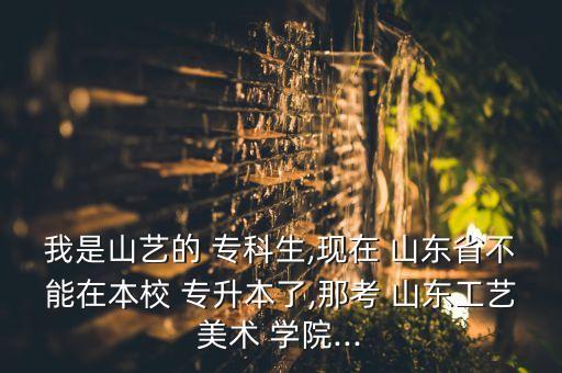 我是山藝的 ?？粕?現(xiàn)在 山東省不能在本校 專升本了,那考 山東工藝美術(shù) 學(xué)院...