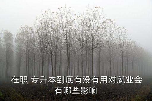  在職 專升本到底有沒有用對就業(yè)會(huì)有哪些影響