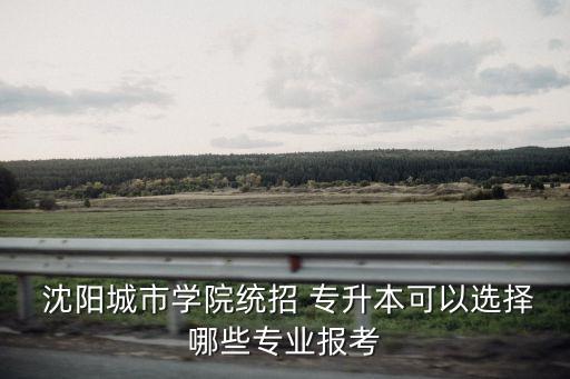  沈陽(yáng)城市學(xué)院統(tǒng)招 專(zhuān)升本可以選擇哪些專(zhuān)業(yè)報(bào)考