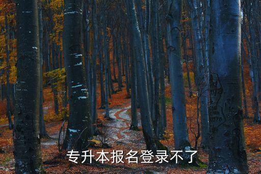  專升本報(bào)名登錄不了