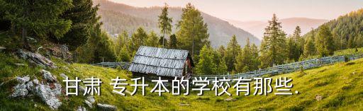 蘭州大學(xué)專升本在哪里報名