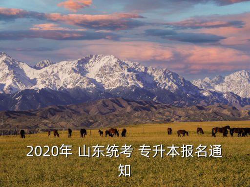 2020年 山東統(tǒng)考 專升本報名通知