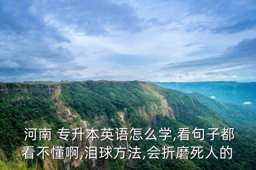 河南 專升本英語怎么學(xué),看句子都看不懂啊,淚球方法,會(huì)折磨死人的