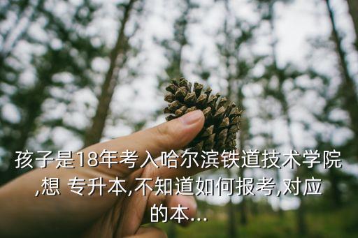 18年專升本招生,2022年貴州專升本招生計劃公布