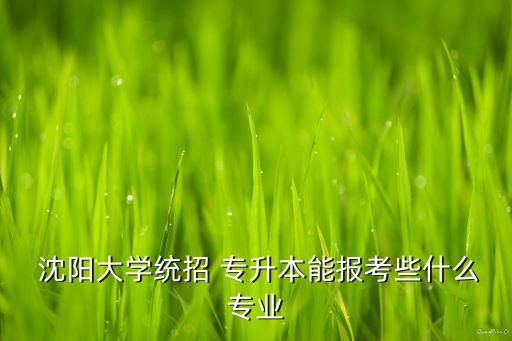  沈陽(yáng)大學(xué)統(tǒng)招 專(zhuān)升本能報(bào)考些什么專(zhuān)業(yè)