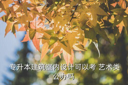  專升本建筑室內(nèi)設(shè)計(jì)可以考 藝術(shù)類公辦嗎