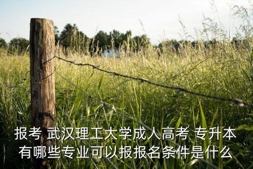 報考 武漢理工大學成人高考 專升本有哪些專業(yè)可以報報名條件是什么