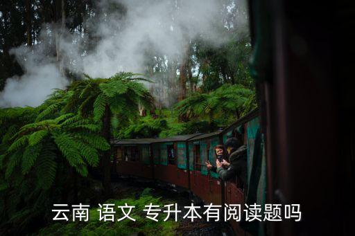 云南 語(yǔ)文 專(zhuān)升本有閱讀題嗎