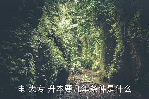 電 大專(zhuān) 升本要幾年條件是什么
