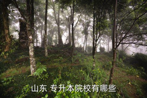 山東省專升本高的專科學校