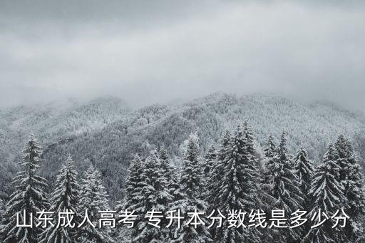 山東成人高考 專(zhuān)升本分?jǐn)?shù)線是多少分