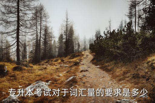  專升本考試對于詞匯量的要求是多少