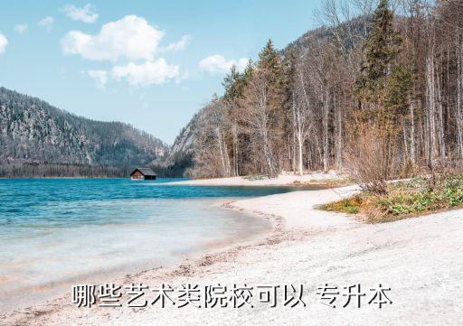 哪些藝術(shù)類院?？梢?專升本