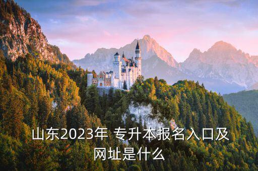  山東2023年 專升本報(bào)名入口及網(wǎng)址是什么