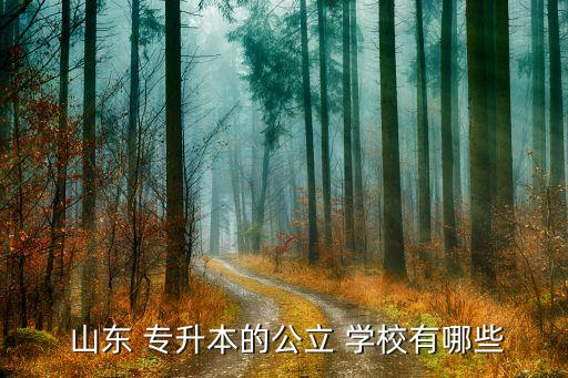 山東 專升本的公立 學(xué)校有哪些