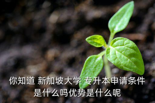 你知道 新加坡大學 專升本申請條件是什么嗎優(yōu)勢是什么呢