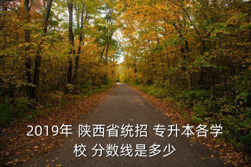 陜西專升本會計專業(yè)錄取分?jǐn)?shù)線,云南專升本會計錄取分?jǐn)?shù)線2021
