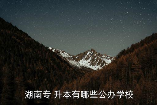  湖南專(zhuān) 升本有哪些公辦學(xué)校