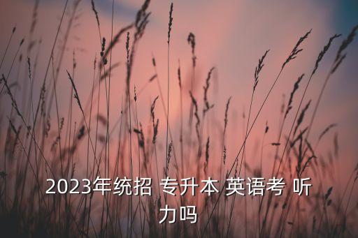 2023年統(tǒng)招 專升本 英語考 聽力嗎
