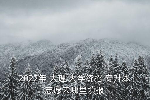 2022年 大理 大學(xué)統(tǒng)招 專升本志愿去哪里填報(bào)
