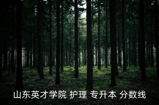 山東英才學(xué)院 護(hù)理 專升本 分?jǐn)?shù)線