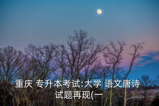 重慶 專升本考試:大學 語文唐詩 試題再現(xiàn)(一