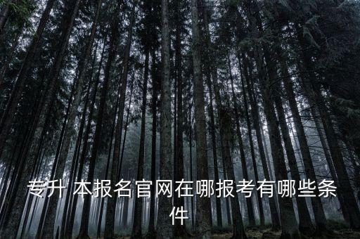  專升 本報名官網(wǎng)在哪報考有哪些條件