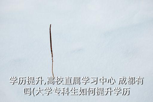 學歷提升,高校直屬學習中心 成都有嗎(大學?？粕绾翁嵘龑W歷