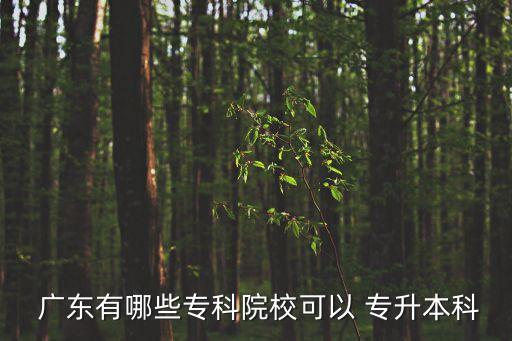  廣東有哪些專科院?？梢?專升本科
