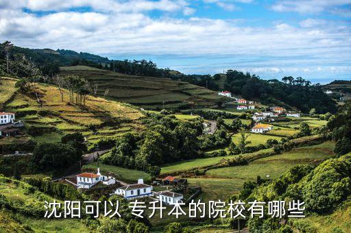 沈陽(yáng)可以 專(zhuān)升本的院校有哪些