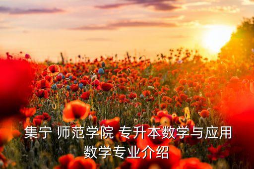  集寧 師范學院 專升本數(shù)學與應用數(shù)學專業(yè)介紹