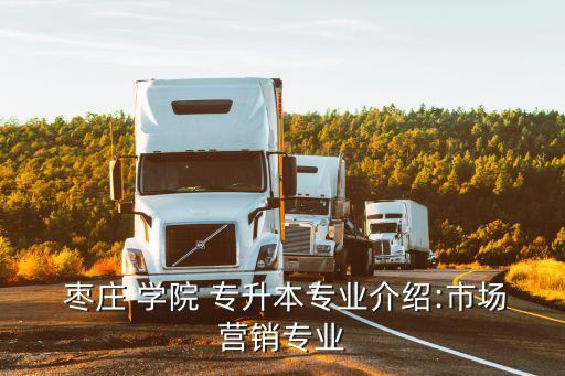 棗莊 學(xué)院 專升本專業(yè)介紹:市場(chǎng)營銷專業(yè)