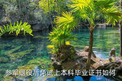 參軍退役后免試上本科畢業(yè)證書如何