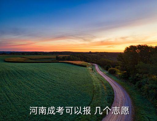  河南成考可以報(bào) 幾個(gè)志愿