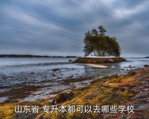 三二分段培養(yǎng)專升本院校名單,廣東三二分段專升本容易過(guò)嗎